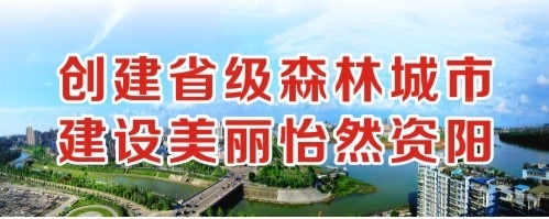 用力吸还要啊啊啊用力插操创建省级森林城市 建设美丽怡然资阳