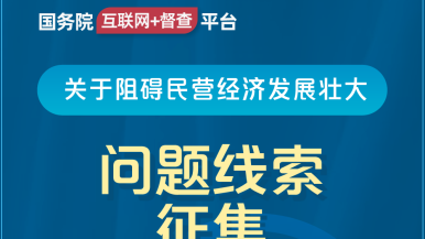 亲我鸡巴,操我逼逼国务院“互联网+督查”平台公开征集阻碍民营经济发展壮大问题线索